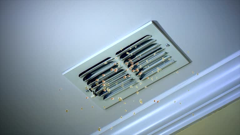 Best Commercial Air Duct Cleaning  in Monongah, WV
